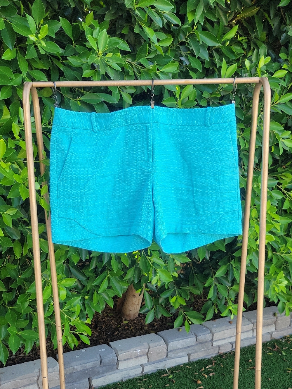 The Limited Aqua Textured Cotton Shorts Sz 12